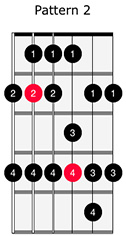 Major Scale 2