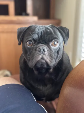 BA