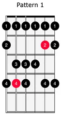 Major Scale 1