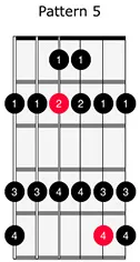 Major Scale 5