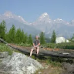 Profile picture for user nathanrose