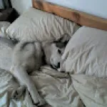 Profile picture for user johnchristiansen