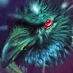 Profile picture for user noamshamgar