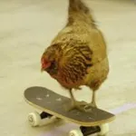 Profile picture for user ebruno