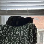 Profile picture for user Mark_Whitmire