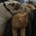 Profile picture for user Scott_M