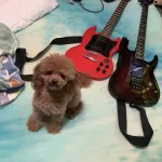 Profile picture for user OmenSG1984