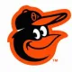 ORIOLE_BIRD