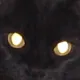 rleliason
