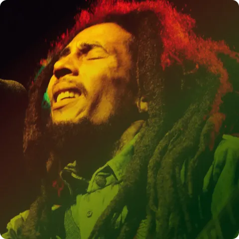 Reggae Wailers