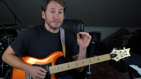 <span>China Cat Sunflower - Triad Structure</span>
